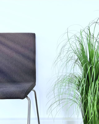 das wartezimmer erfrischt mit grasgruenen buendeln von deko-graesern