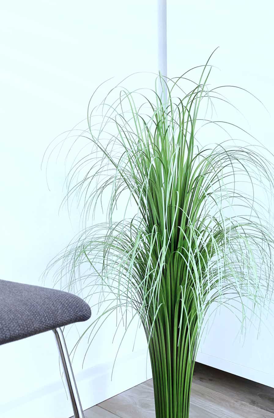 das wartezimmer erfrischt mit grasgruenen buendeln von deko-graesern