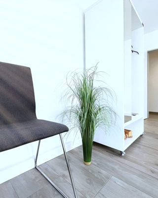 deko-grasbuendel im wartebereich – hoffnung in form von farbe