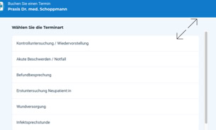 Screenshot einer Webseite mit blauem Header und weißem Hintergrund, die eine Liste von Dienstleistungen zeigt: "Fahrerlaubnisprüfung / Wiedererteilung", "Aus-/Umschreibung / Verlängerung", "Betriebserlaubnisprüfung", "Einweisungskurs Neupassaten", "Modulumschulung", "Intensivsprachkurs".