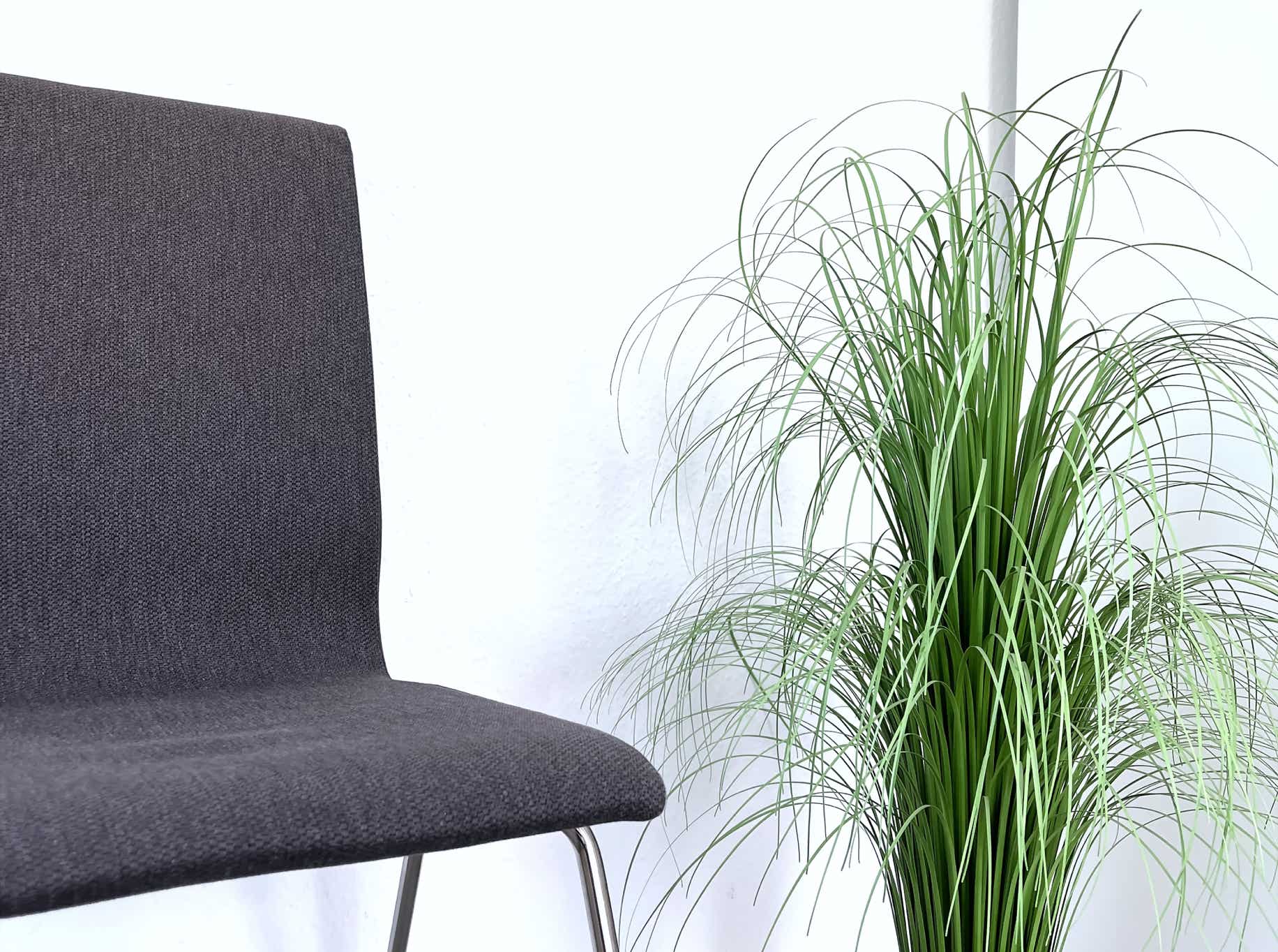 das wartezimmer erfrischt mit grasgruenen buendeln von deko-graesern