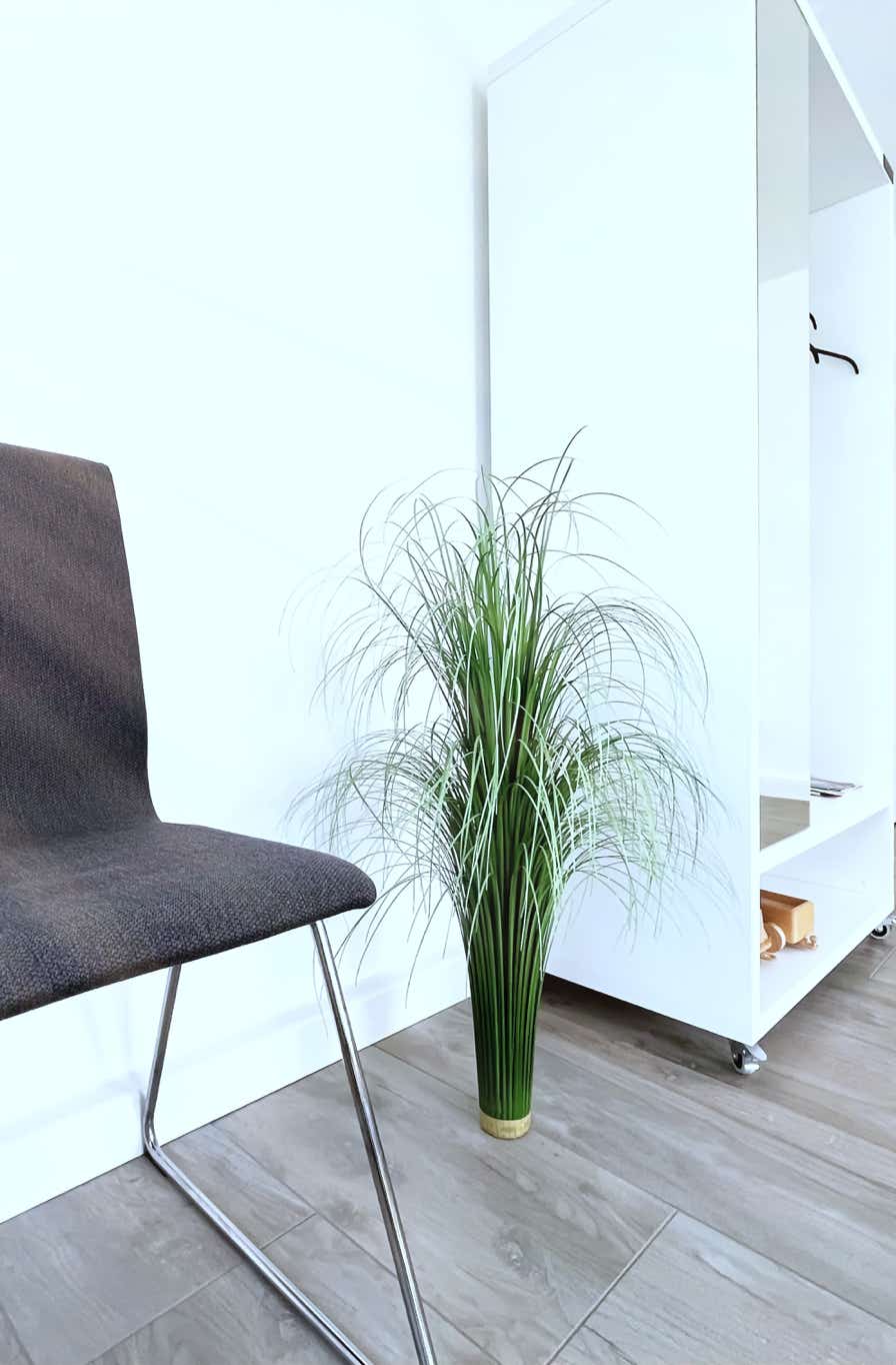 deko-grasbuendel im wartebereich – hoffnung in form von farbe